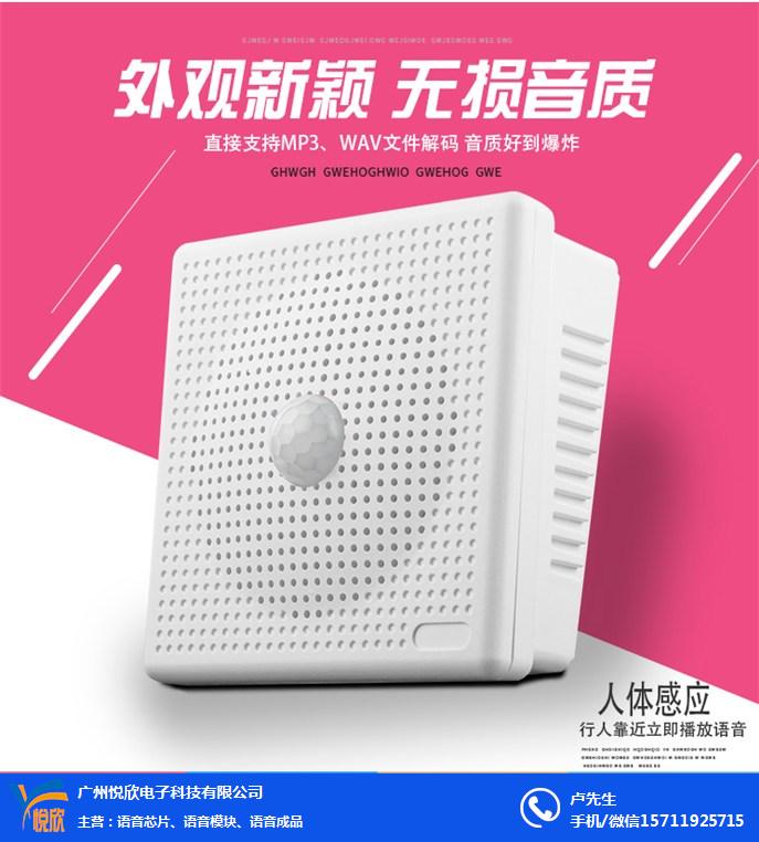 感應提示喇叭圖.jpg